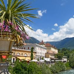 Ville alpine entre Füssen et Merano Ville alpine pittoresque avec bâtiments colorés le long d'une rivière, palmiers à fleurs violettes et montagnes en arrière-plan sous ciel bleu.