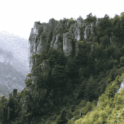 Falaises calcaires spectaculaires couvertes de végétation dense dans les Gorges de la Jonte. Crêtes montagneuses brumeuses en arrière-plan.