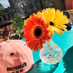 Casquette rose Amsterdam avec symboles XXX à côté d'un vase en verre contenant des gerberas orange et jaunes sur table turquoise.