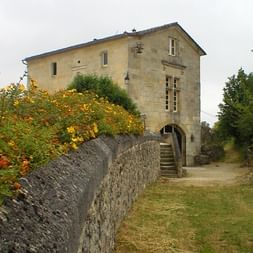Bâtiment en pierre traditionnel avec entrée voûtée le long d'un chemin bordé de vignes aux couleurs automnales dans le vignoble bordelais.