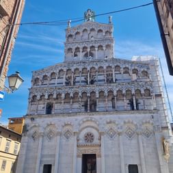 Vue de la tour médiévale de Lucques s'élevant au-dessus des toits en terre cuite, jardins verts et pins parasols sous un ciel bleu en Toscane.