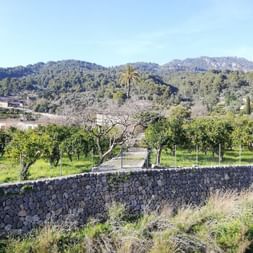 Entre Can Picafort et Port Soller