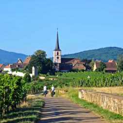 Route des vins d'Alsace, Mittelbergheim, sur l'eurovelo 5