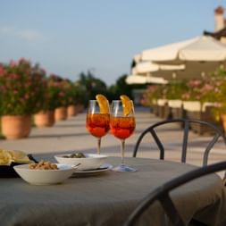 Country Hotel Relais Monaco