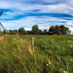 Moulin à vent traditionnel blanc avec des pales en bois sombre dans un pré vert sur l'île d'Usedom sous un ciel bleu avec des nuages blancs.