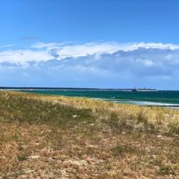 Côte de la mer Baltique avec jetée en bois Côte de la mer Baltique avec herbes dorées, eau turquoise et jetée en bois s'étendant dans la mer sous un ciel bleu avec nuages blancs.
