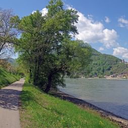 Piste cyclable dans la région de la Wachau