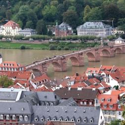 Vue du Vieux Pont de Heidelberg sur le Neckar avec bâtiments aux toits rouges et porte à tours jumelles. Vieille ville et collines vertes visibles.