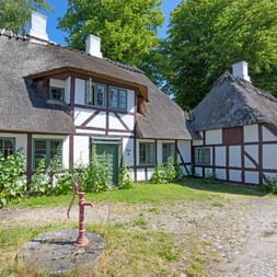 Maisons à colombages traditionnelles aux toits de chaume sur l'île de Fionie. Murs blancs avec poutres en bois sombre, volets verts et pompe à eau.