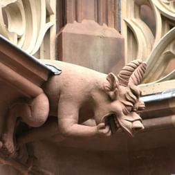 Sculpture de gargouille en pierre représentant un bélier avec des cornes courbées sur la cathédrale de Strasbourg, avec tracé gothique visible.