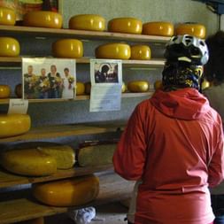 Deux cyclotouristes visitent la boutique d'une fromagerie vendant du Gouda aux Pays-Bas