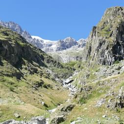 Vallée rocheuse escarpée au Valgaudemar avec pentes vertes, torrent de montagne et sommets enneigés du massif des Écrins sous ciel bleu.