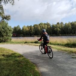 Cycliste avec sac à dos et sacoches rouges sur chemin asphalté au bord d'un lac près de Wiesmoor, entouré d'arbres et de roseaux sous un ciel nuageux.