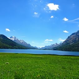Environs de St-Moritz Lac dans les environs de St-Moritz