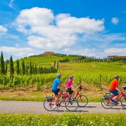 Groupe de trois cyclistes pédalant dans un paysage typiquement toscan