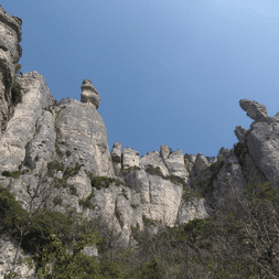 Falaises calcaires spectaculaires des Gorges de la Jonte avec des piliers rocheux distinctifs s'élevant au-dessus d'une végétation clairsemée.