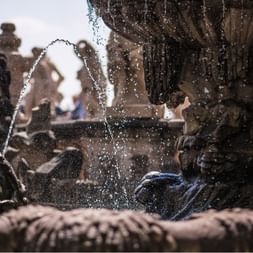 Détail d'une fontaine à Dresde