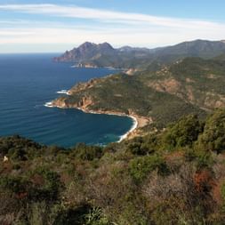 Golfe de Porto