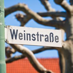 Panneau de rue Weinstraße sur poteau vert Panneau de rue blanc indiquant 'Weinstraße' monté sur un poteau vert avec des branches d'arbres nues visibles en arrière-plan contre le ciel bleu.