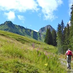 Randonneurs sur les sentiers du trek de l'ours