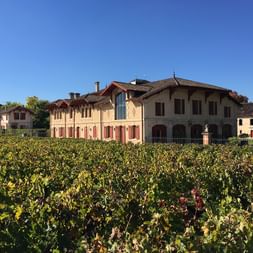 Domaine viticole traditionnel aux volets rouges entouré de vignes vertes dans le Médoc, Gironde, sous un ciel bleu.