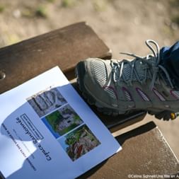 Des randonnées en liberté grâce à des topoguides précis