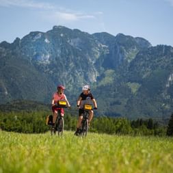 Cyclistes sur l'Alpe Adria