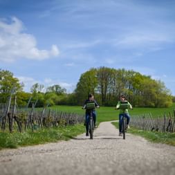 A vélo dans le vignoble alsacien avec Espace Randonnée