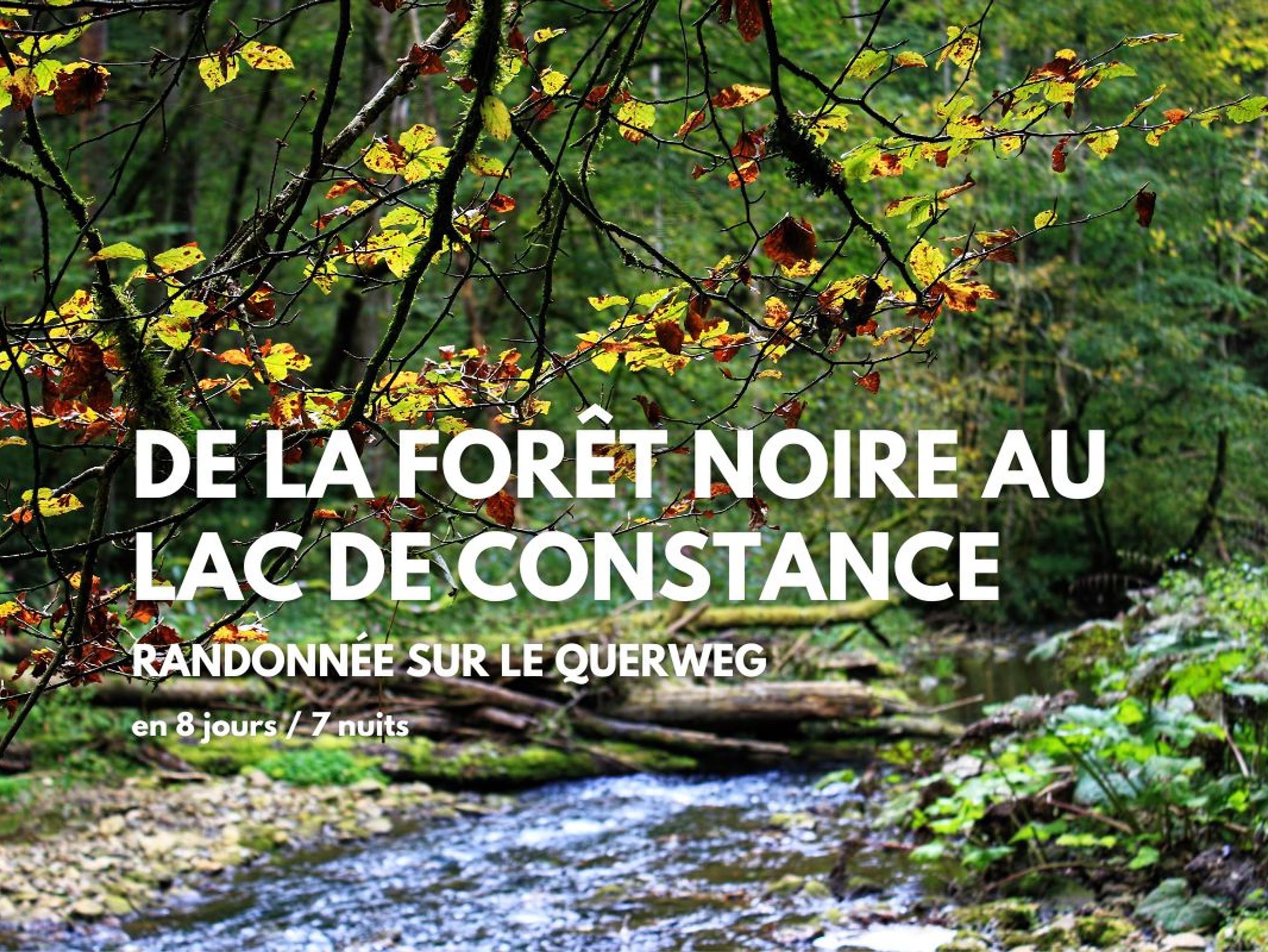 Image Randonnée de la Forêt Noire au Lac de Constance