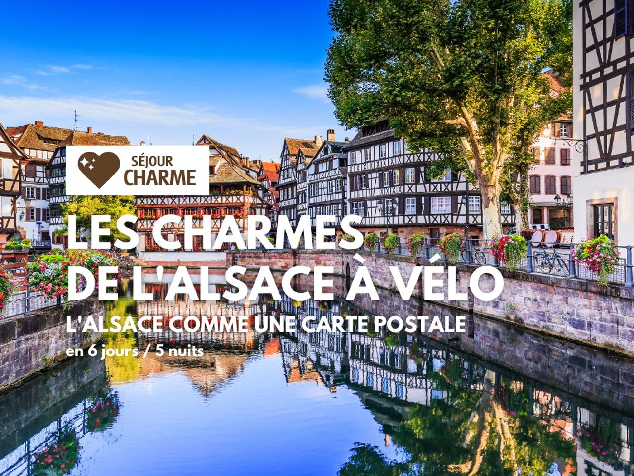 Image Les charmes de l'Alsace, Charme