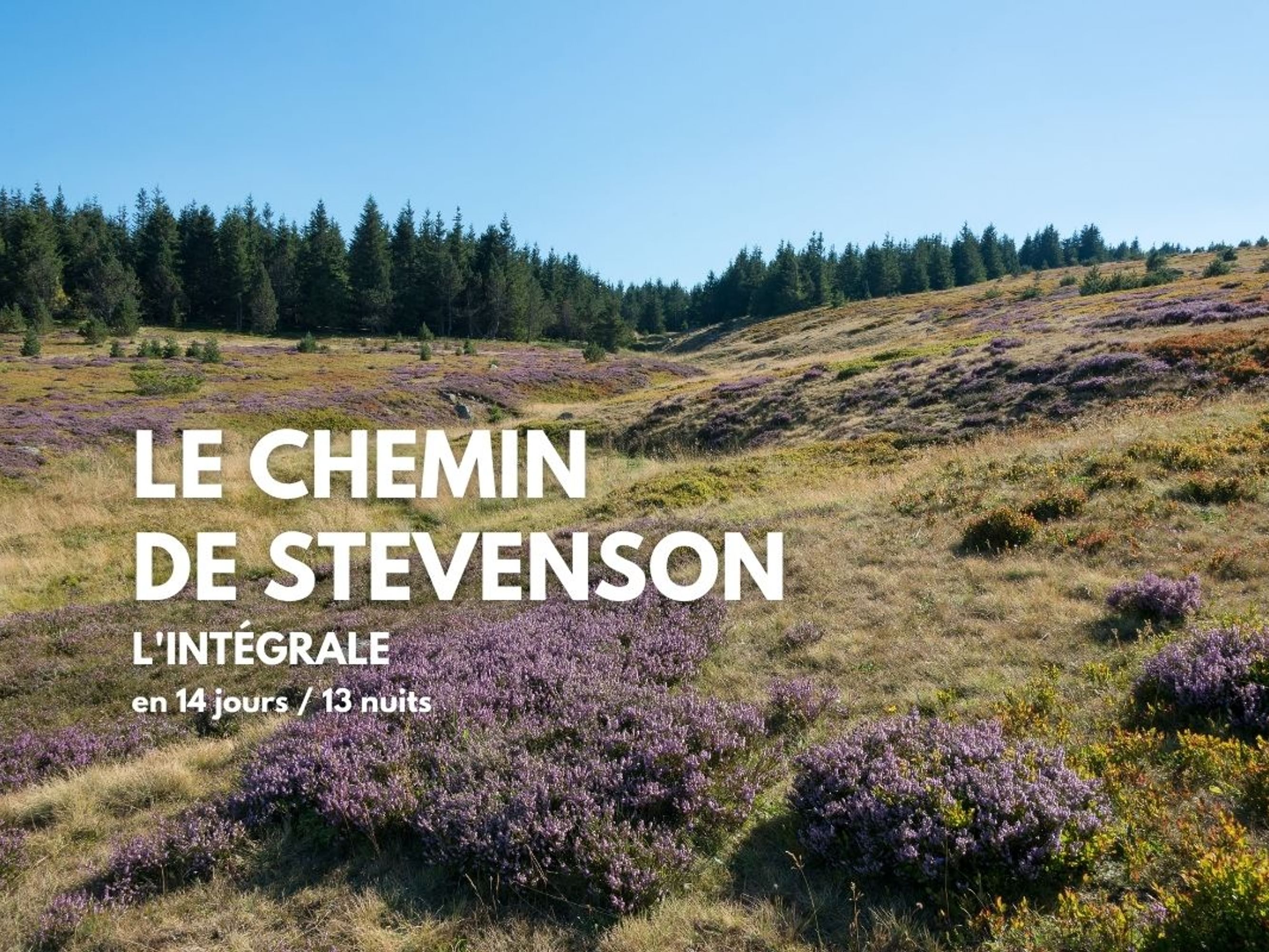Image Le Chemin de Stevenson, l'intégrale