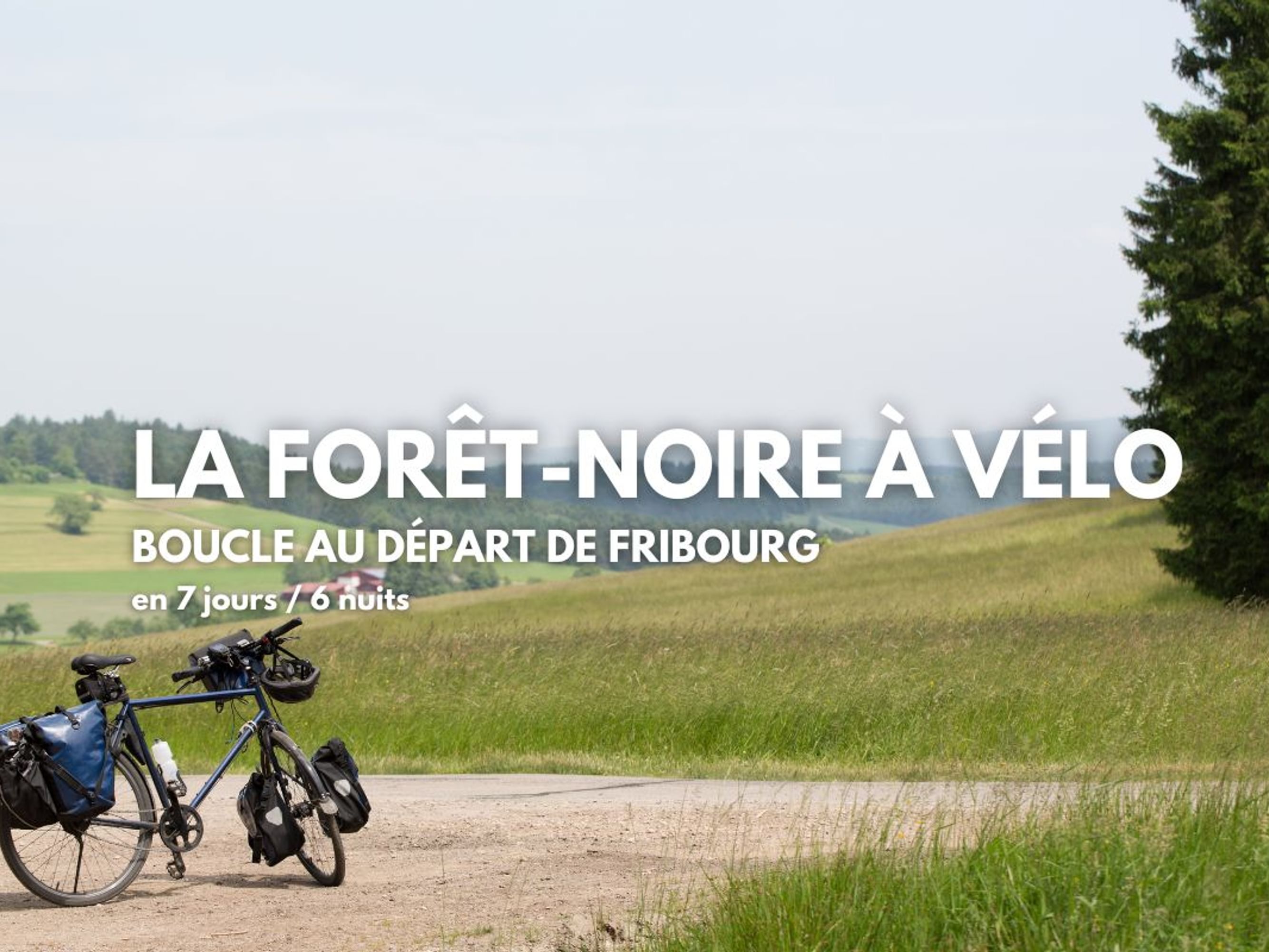 Image La Forêt Noire du Sud