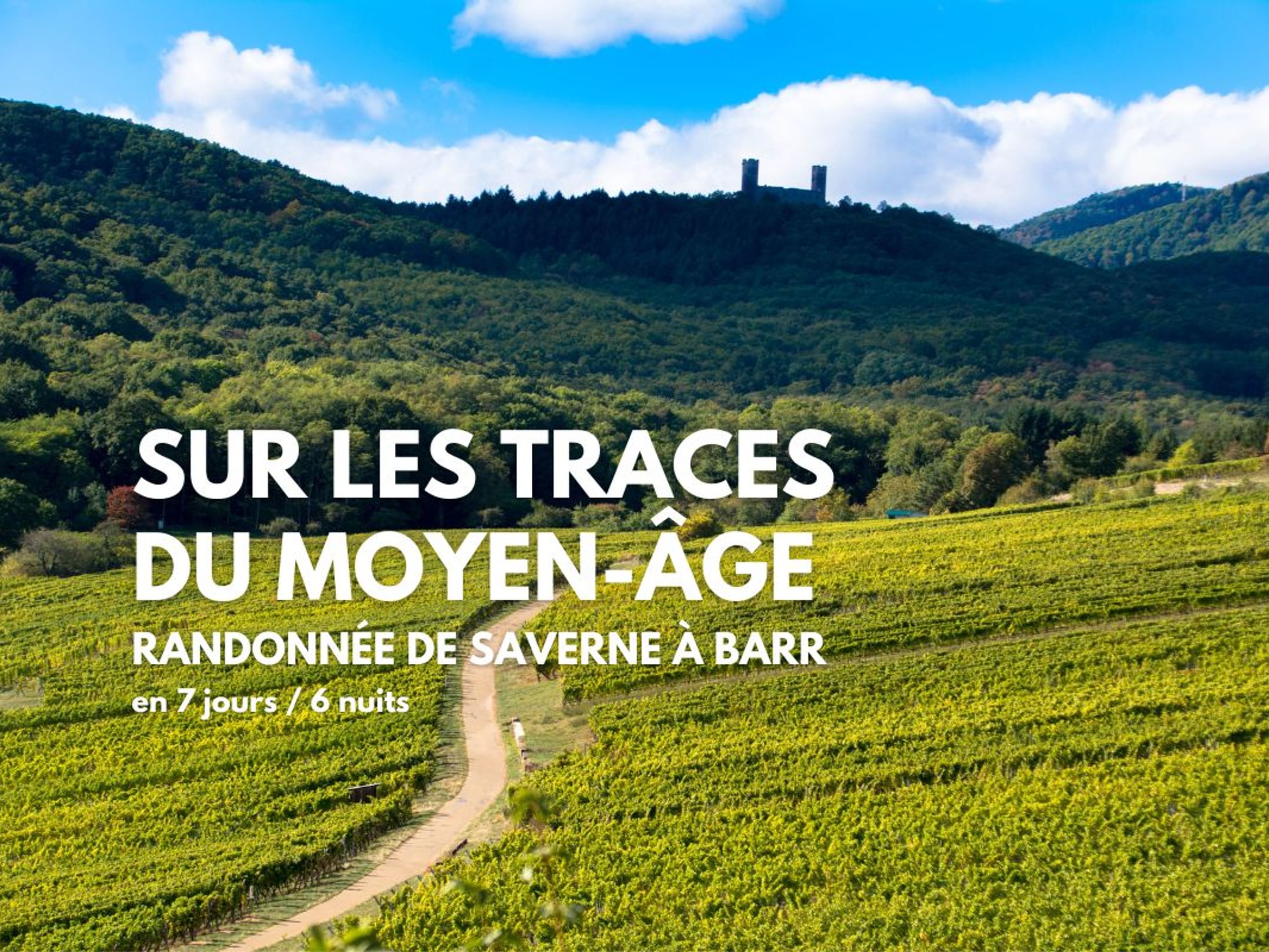 Image Sur les traces du Moyen-Âge, randonnée de Saverne à Barr
