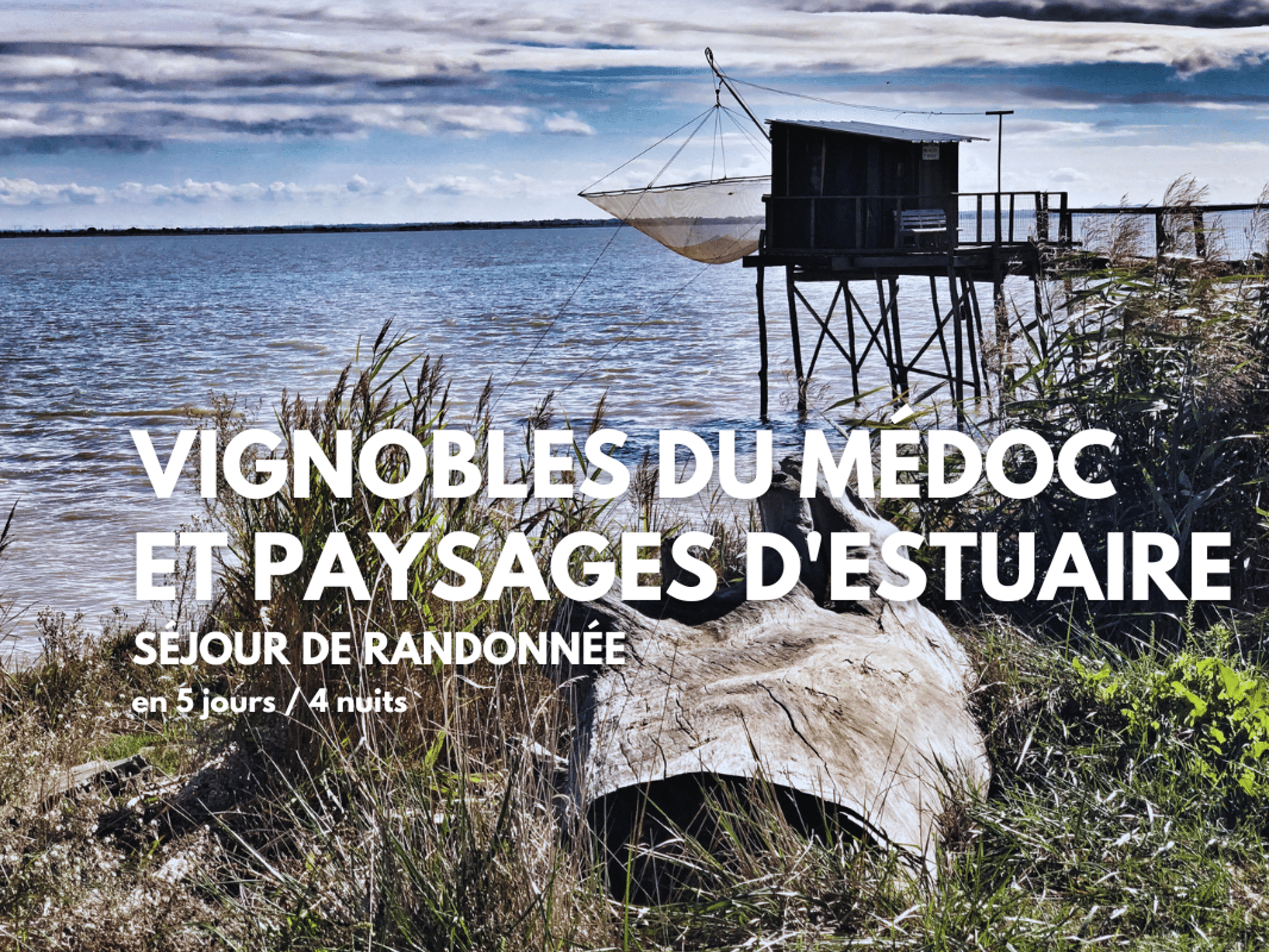 Image Randonnée des vignobles du Médoc aux paysages d'estuaire
