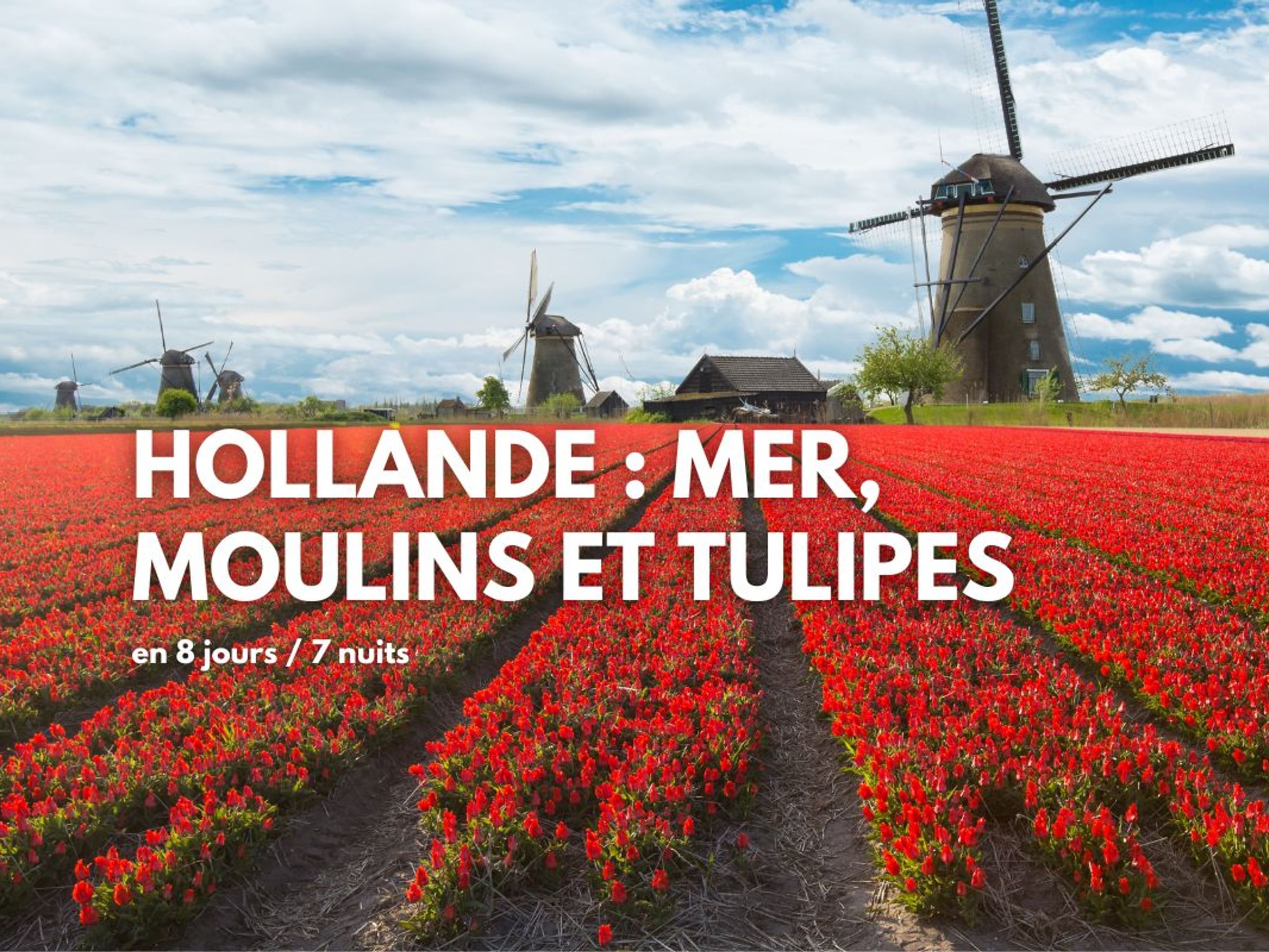 Image Hollande entre mer, moulins et tulipes