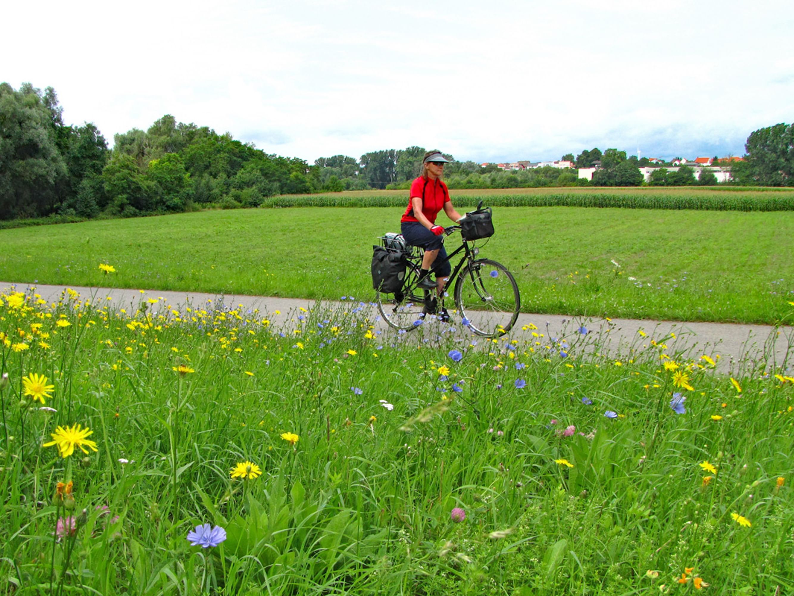 Image La piste cyclable du Neckar