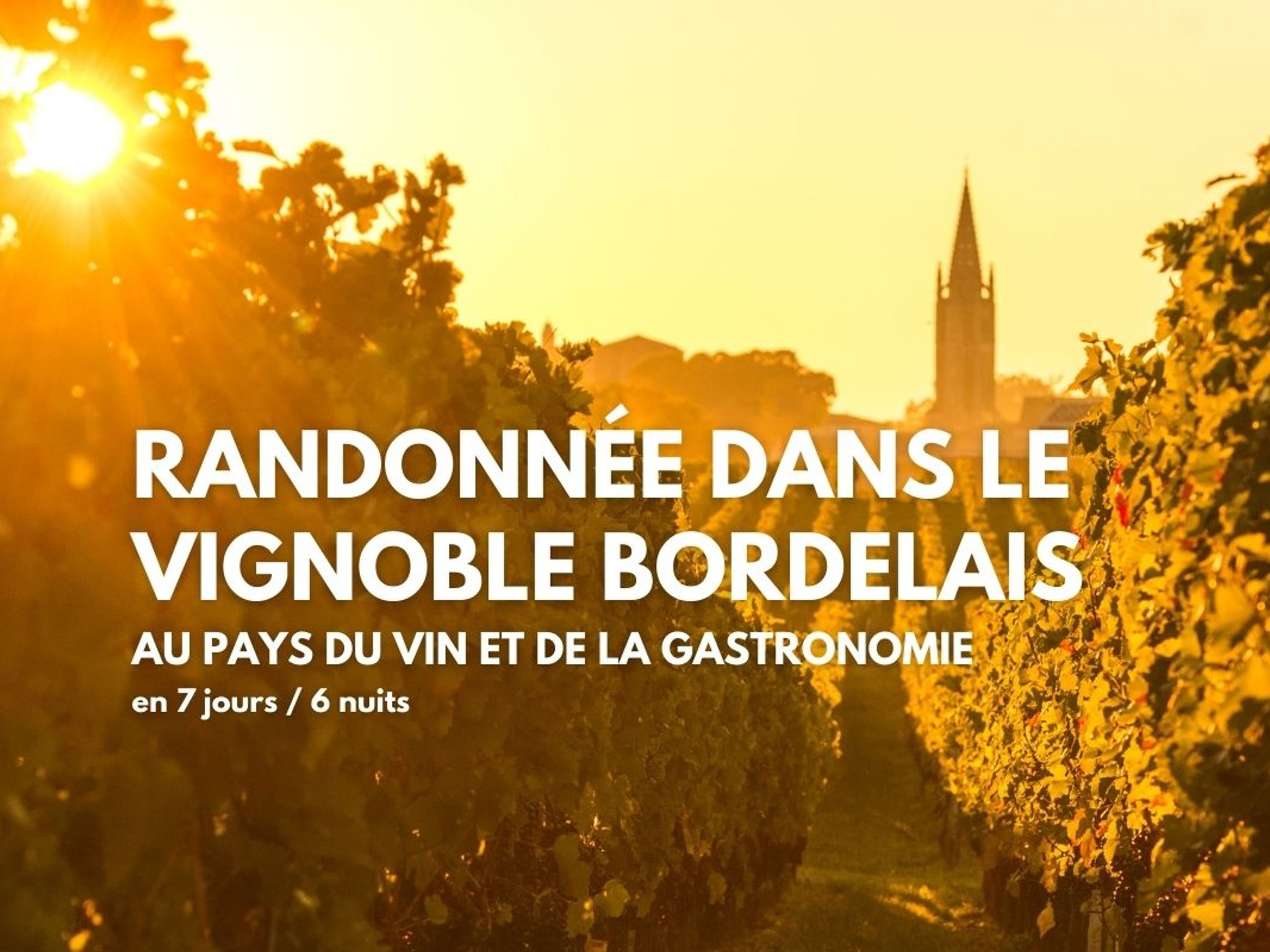 Image Randonnée dans le vignoble bordelais