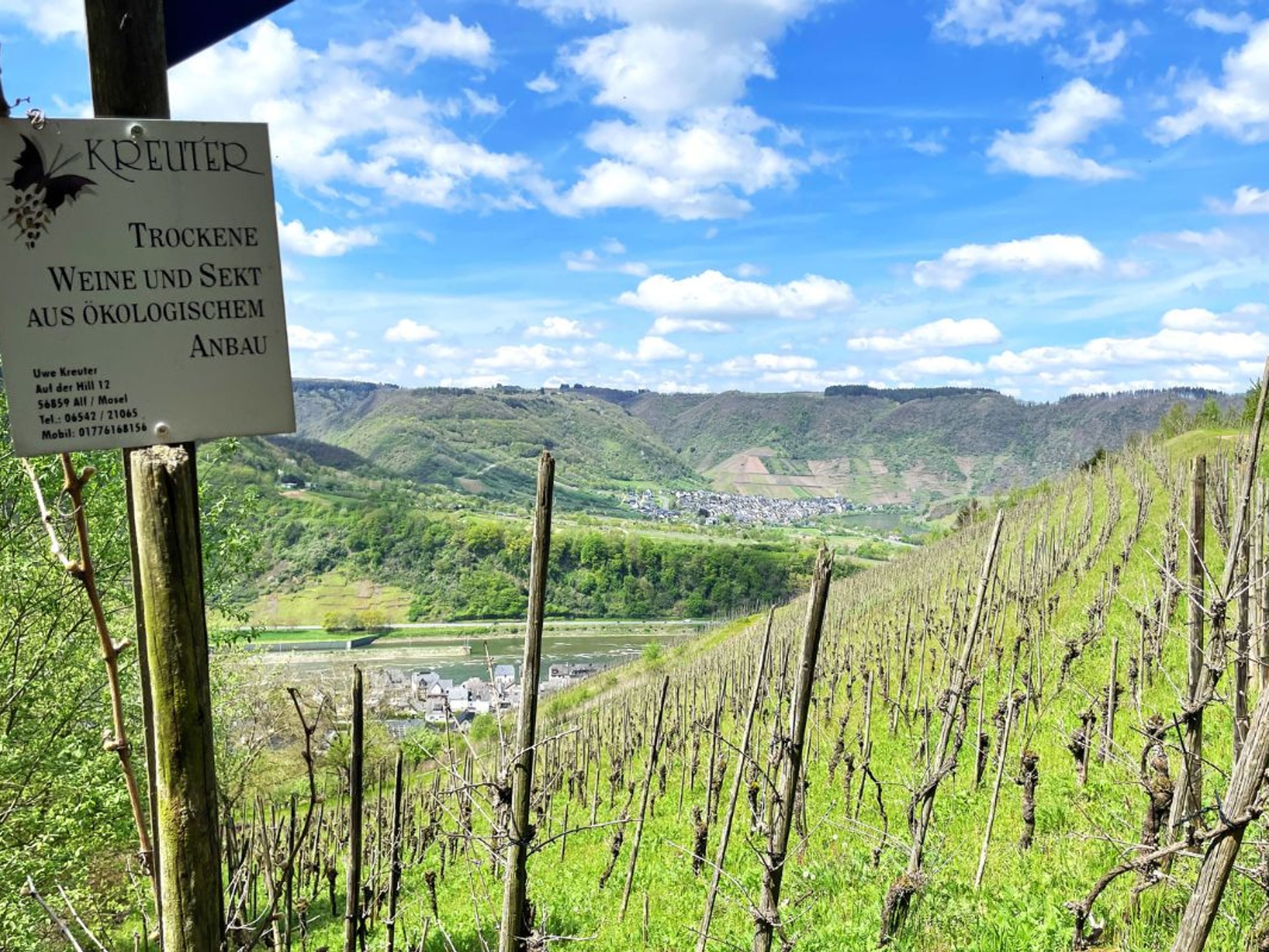 Image Le meilleur du Moselsteig, 8 jours