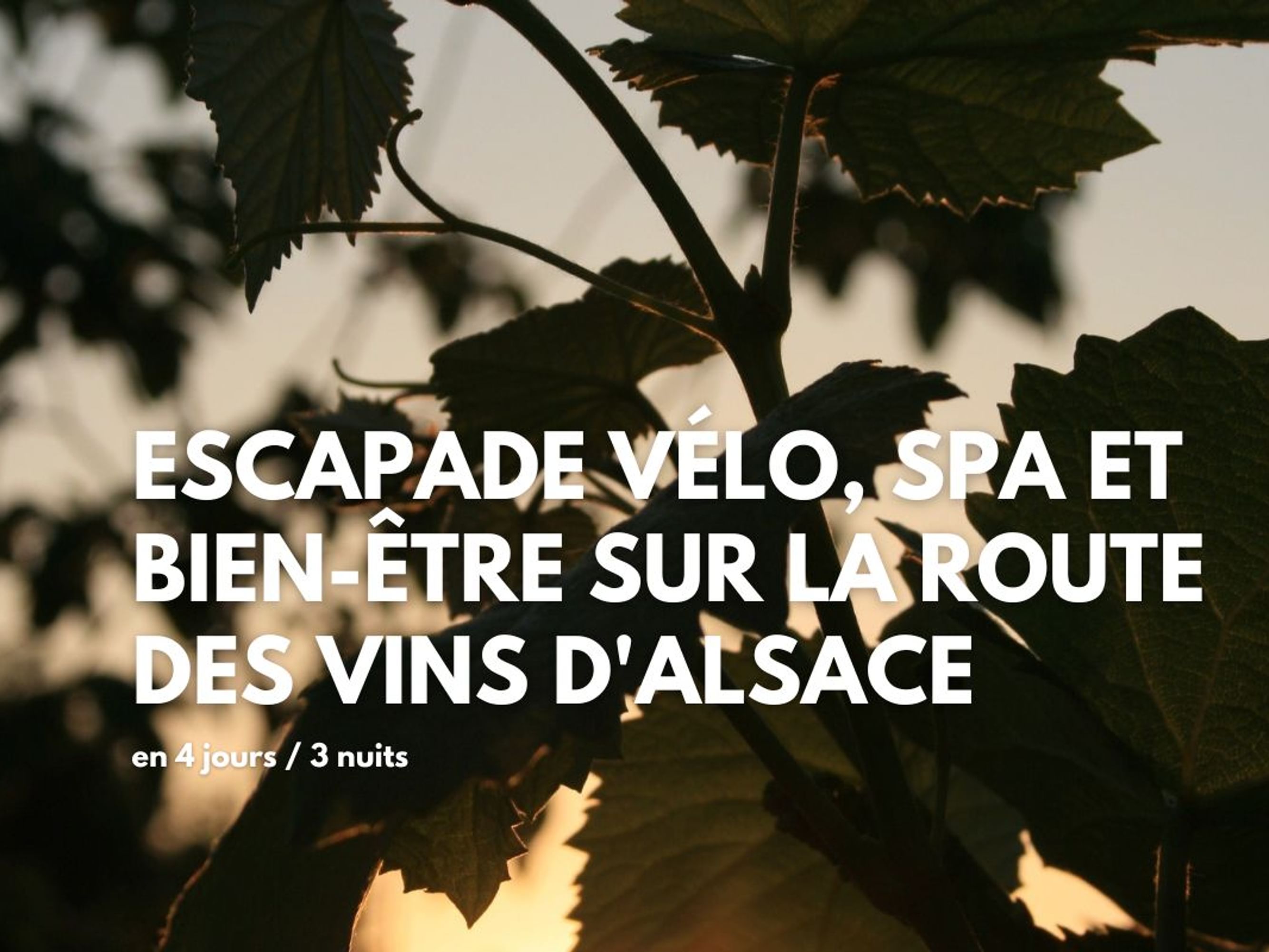 Image Escapade spa & bien-être sur la Route des Vins d'Alsace, 4 jours