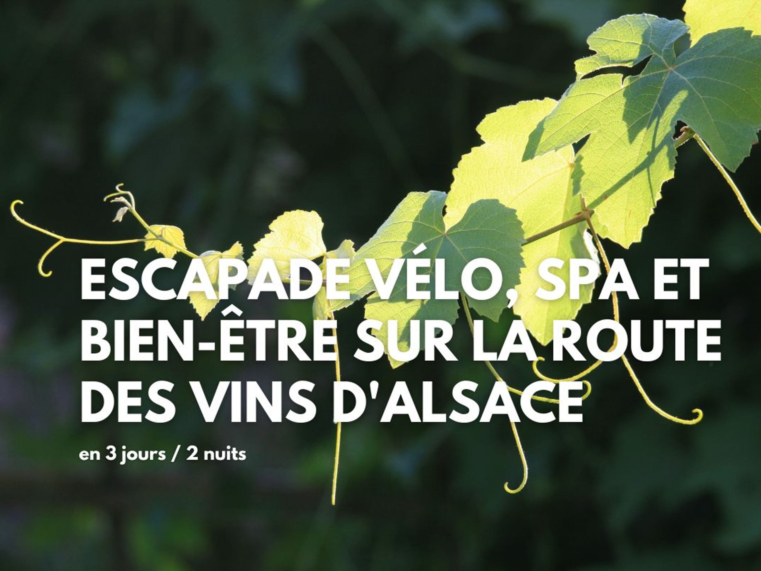 Image Escapade spa & bien-être sur la Route des Vins d'Alsace