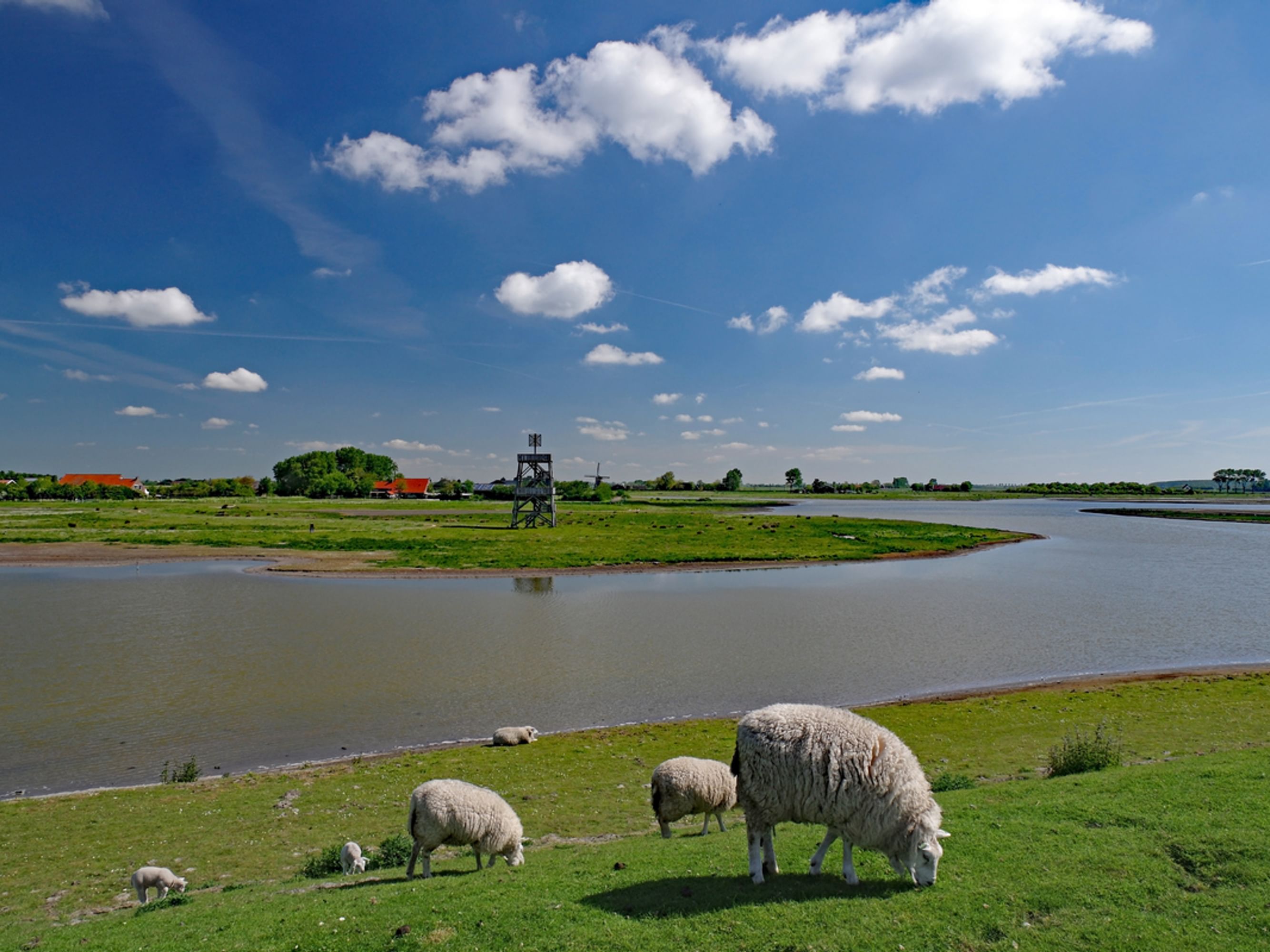 Image La Zélande en Bateau et Vélo, MS Normandie