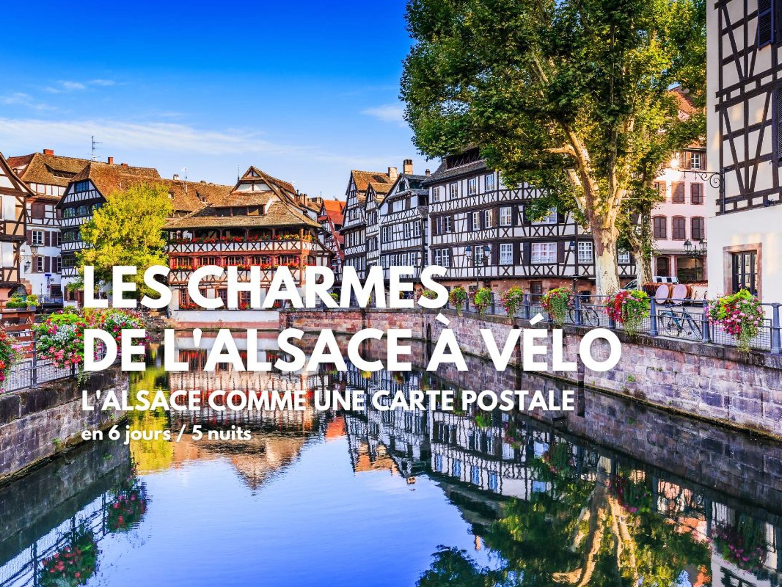 Image Les Charmes de l'Alsace