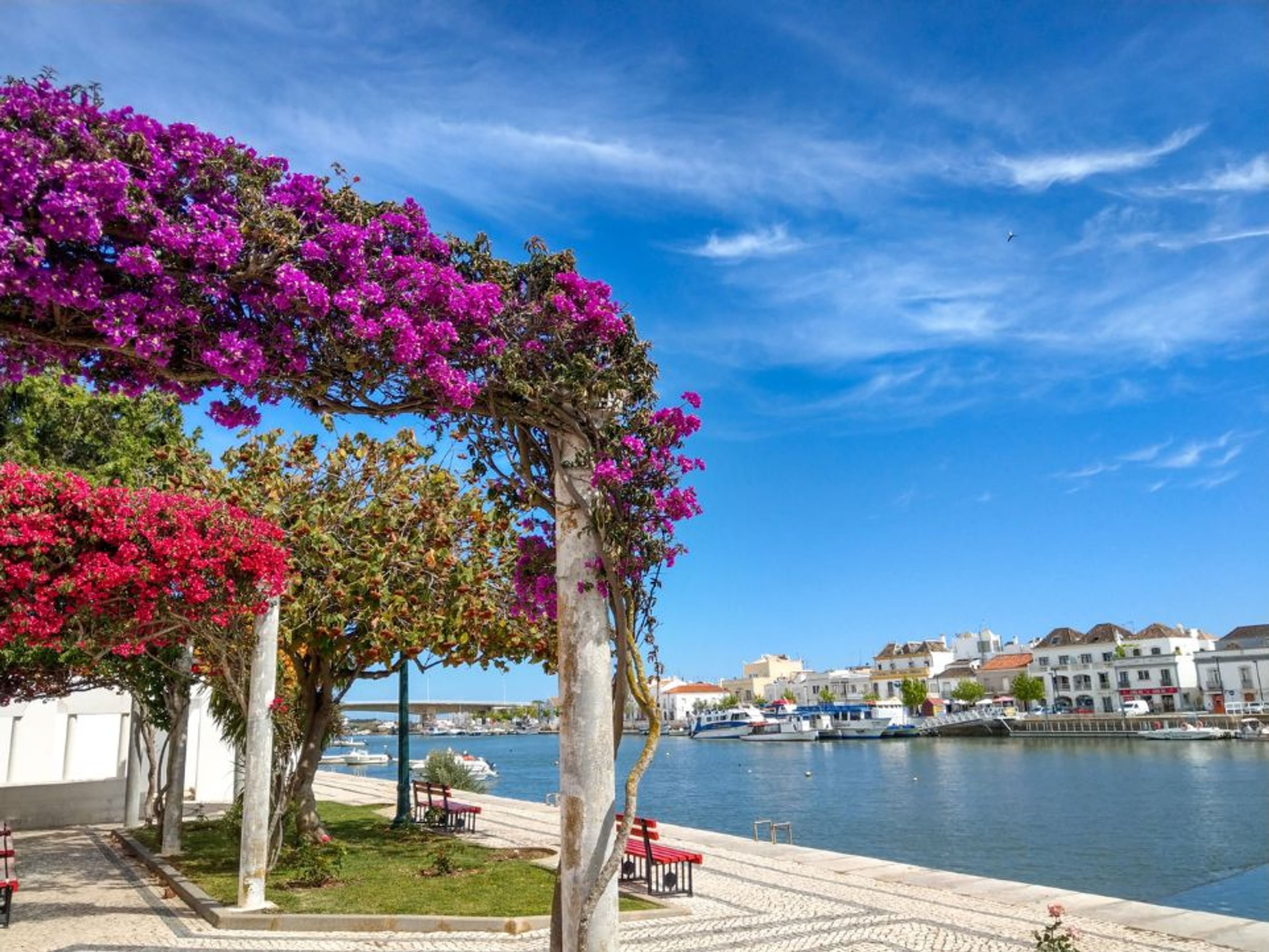 Image L'Algarve à vélo en étoile