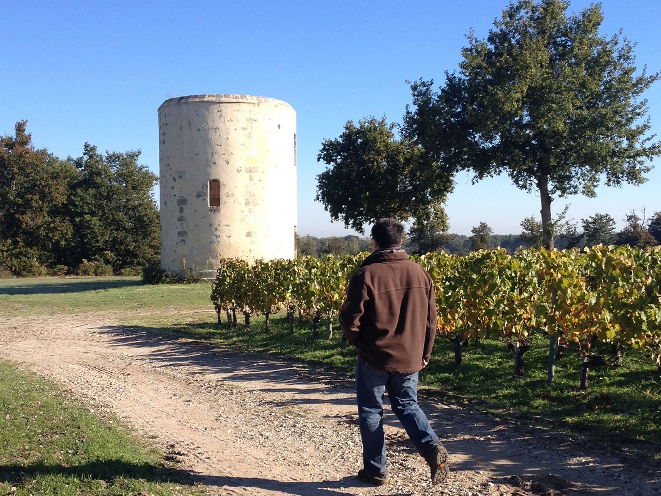 Image Randonnée des vignobles du Médoc aux paysages d'estuaire