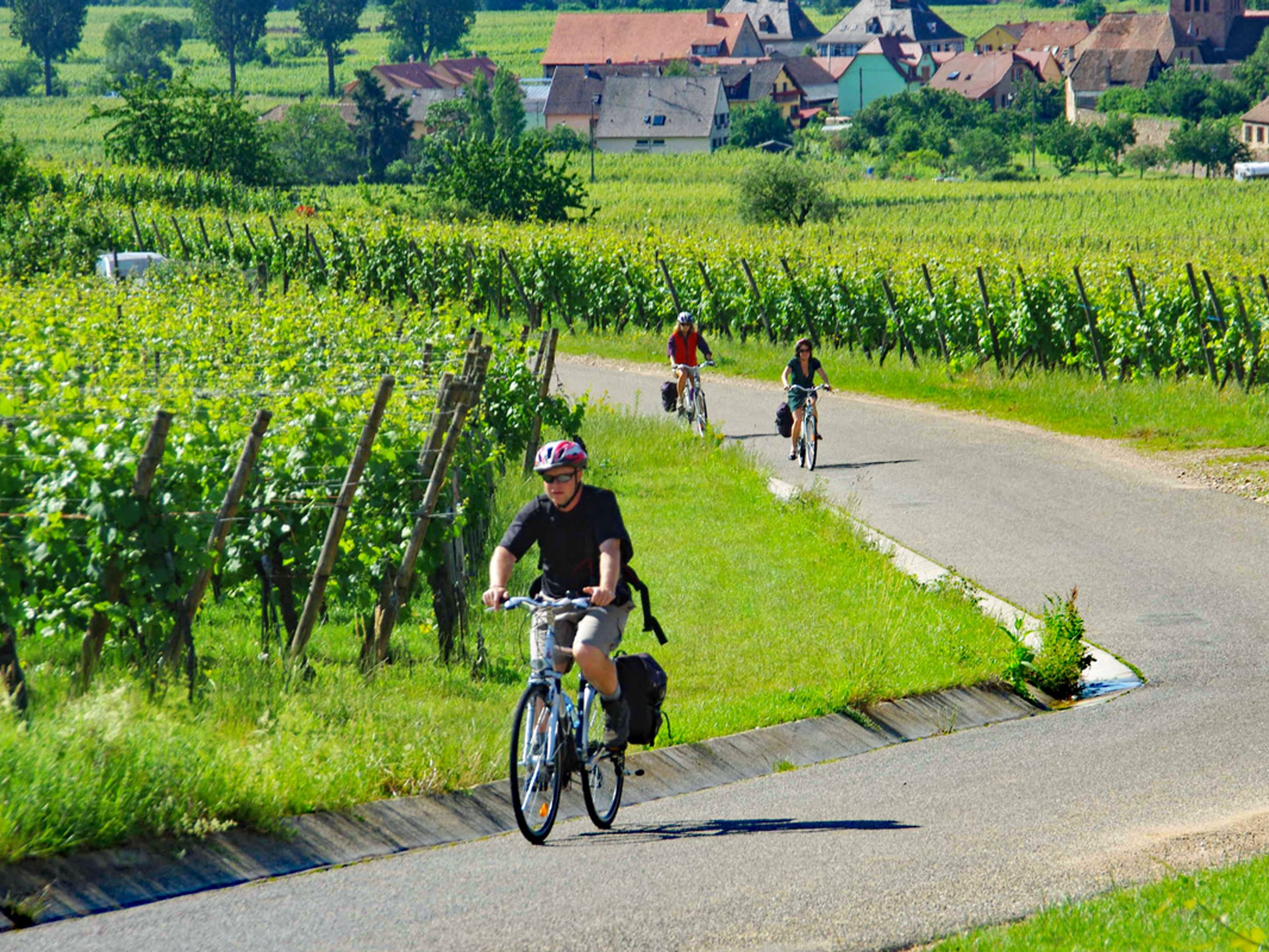 Image L'Anneau du Rhin