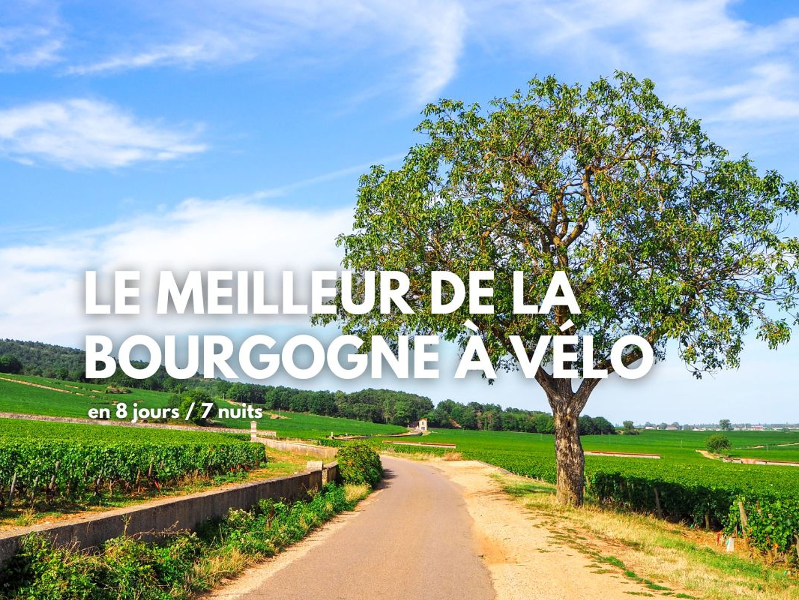 Image Le meilleur de la Bourgogne