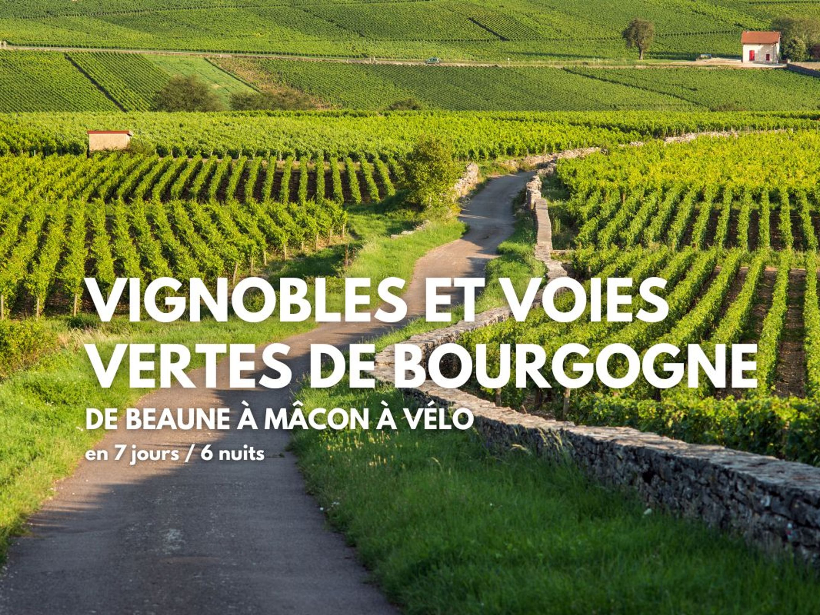 Image Vignobles et voies vertes de Bourgogne