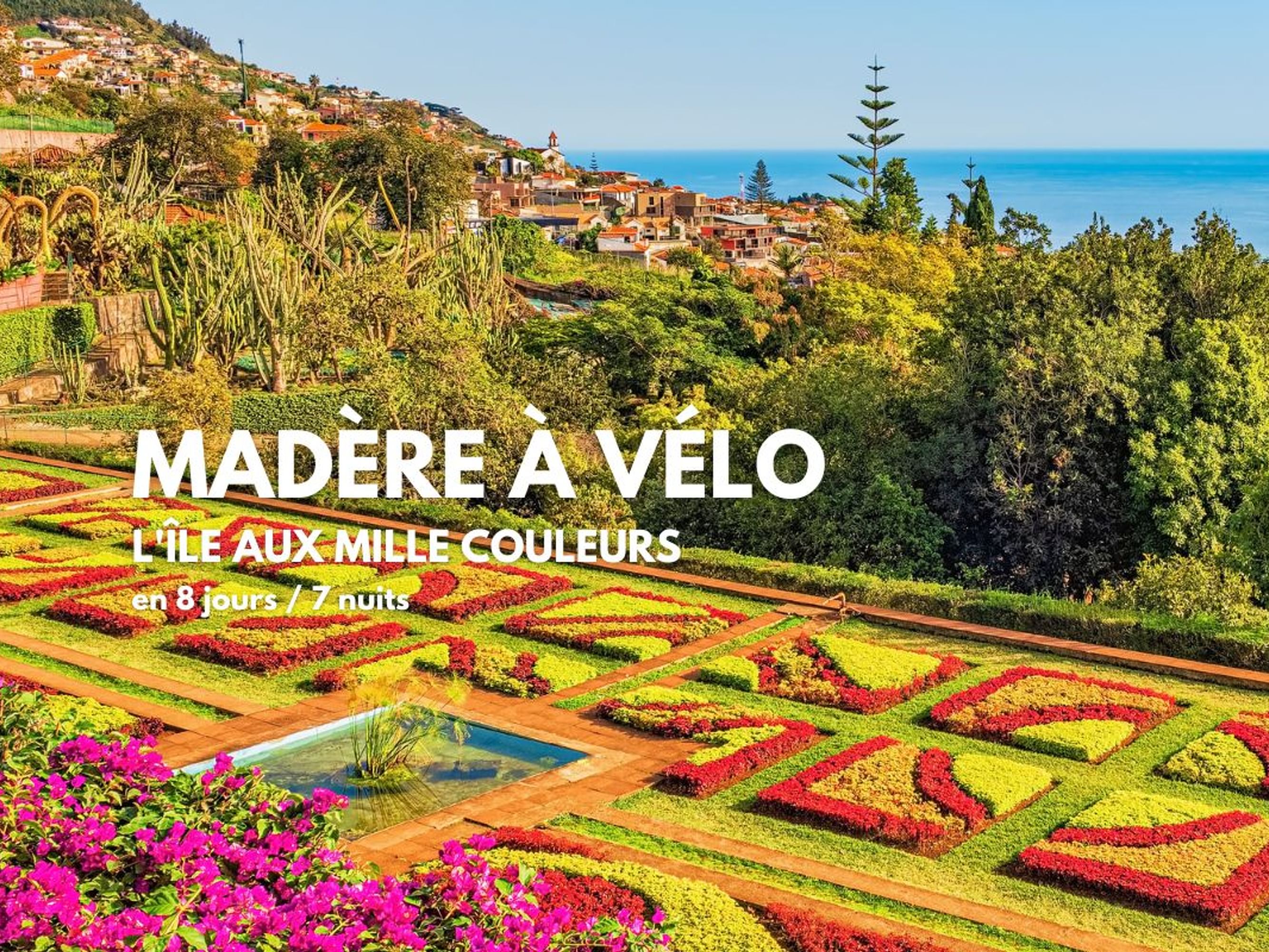 Image Madère à Vélo