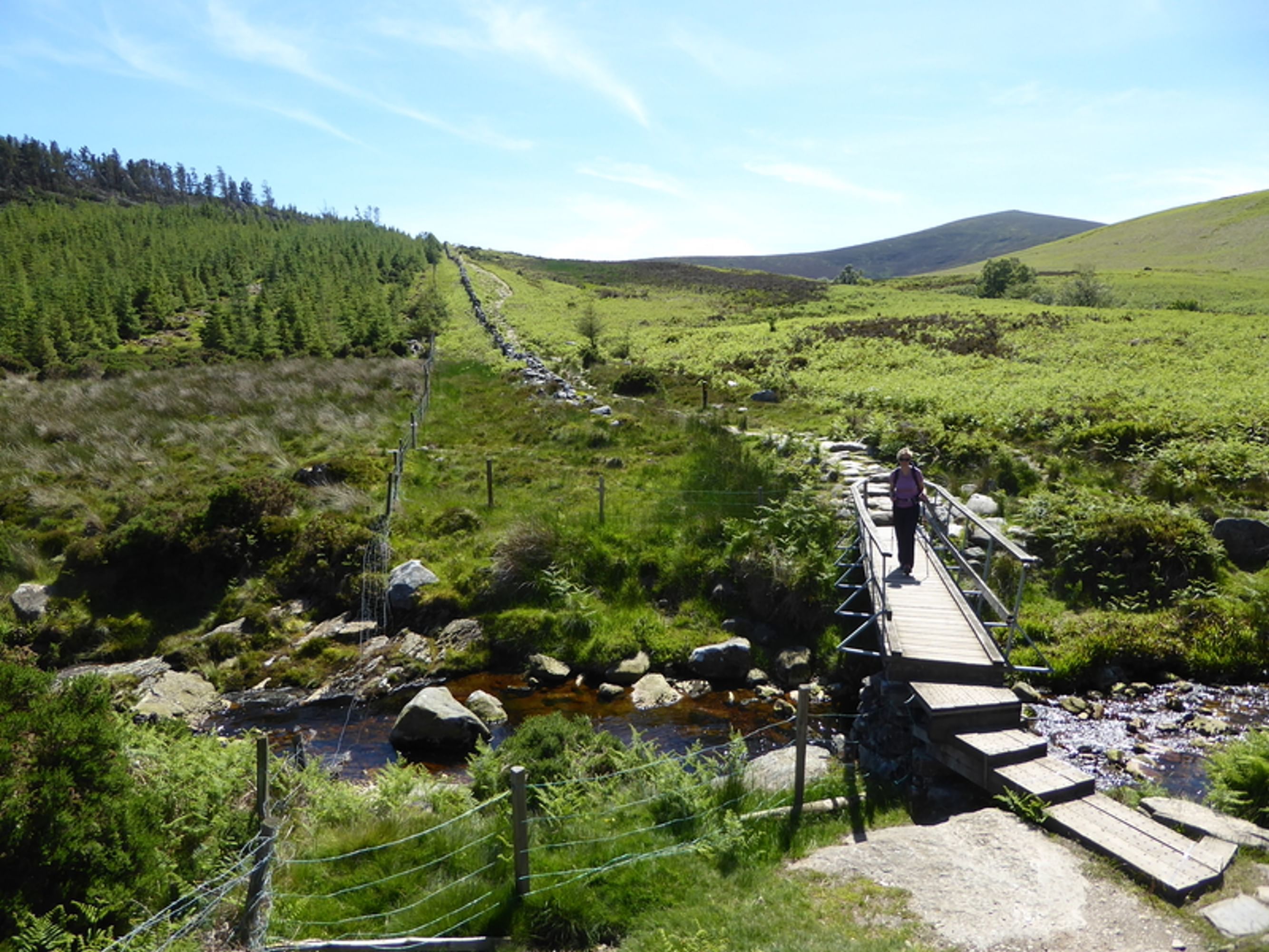 Image L'Irlande à pied, le long du Wicklow Way