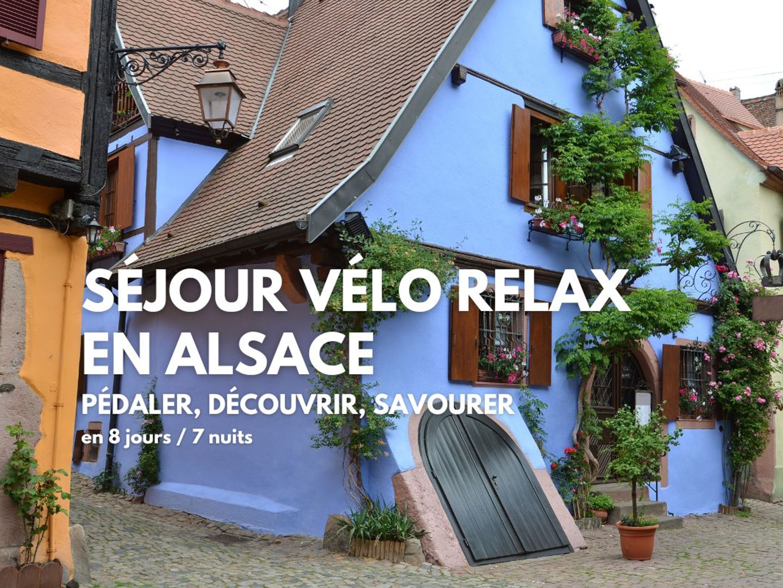 Image Séjour relax en Alsace